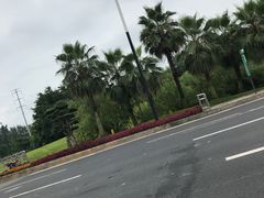 -三圣花乡旅游区