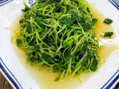 野生灵芝菜-徽州美食(三十年老店)