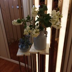 -茜尔维亚修身连锁(杨浦五角场店)