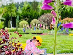 -杨梅红艺术教育(西安高新唐延教学中心)
