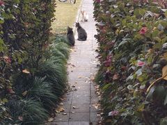 -西贝莜面村(近铁城市广场店)