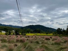 -塔川景区