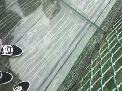 -梦幻奥陶纪景区