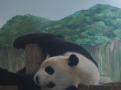 -武汉动物园