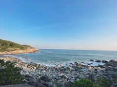 -广东惠东海龟国家级自然保护区