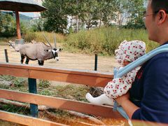 -大连森林动物园