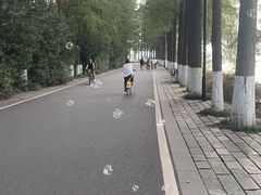 -东湖落雁景区