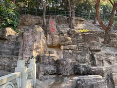 -三水森林公园