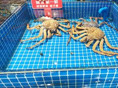 -渔港甄宴·海鲜·地标烟台菜(金沙滩店)