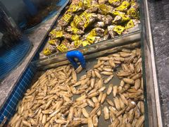 -一方渔歌蒸汽海鲜自助(文化路万达广场店)