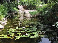 -天津盘山风景名胜区