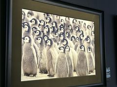 -罗红摄影艺术馆