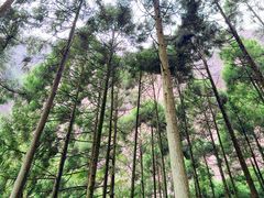 -雁荡山风景名胜区