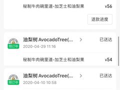 -油梨树AVOCADO TREE(望京店)