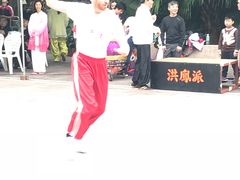 -九龙公园