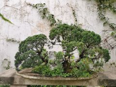 -白玉兰苏州观前街平江路酒店