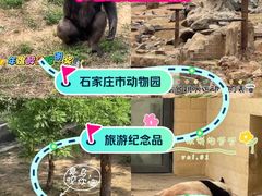 -石家庄市动物园