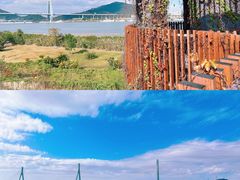 -芒洲湿地公园