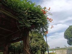 -杭州学军中学海创园学校