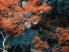-个园