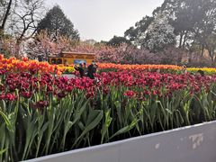 -南山植物园