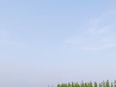 -春花秋色城市公园