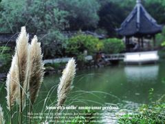 -上海醉白池公园