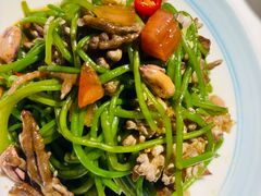凉拌水性杨花-熙楼(翠湖店)