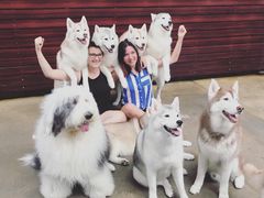 -TrueLove @ Neverland (Husky Cafe)