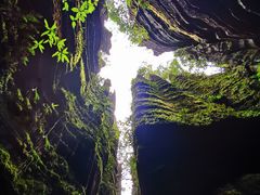 -梭布垭石林景区