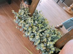 -春风·有糖(崇宁路店)