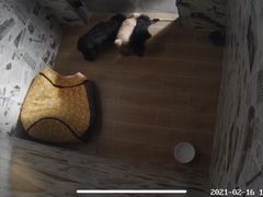 -宠物之家Pets Home 宠物寄养酒店