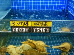 水产区-金龙·打边炉(南京西路店)