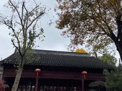-檀园