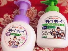 -Bic Camera (难波店)