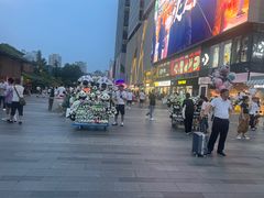 -成都市活水公园