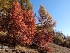 -塞罕坝国家级自然保护区