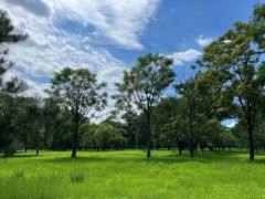 -承德避暑山庄景区
