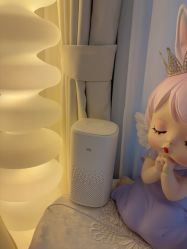 -哈颜科技轻美·