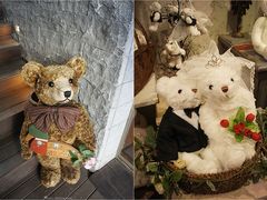 -济州岛泰迪熊博物馆