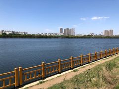 -长白岛森林公园