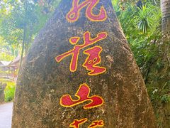 -西双版纳原始森林公园