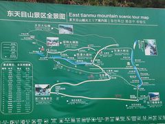 -东天目山风景区