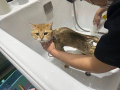 -FAELING PETS美天灵宠物(合生汇店)