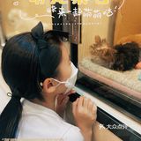 猫猫🐱狗狗🐶，更爱哪个？