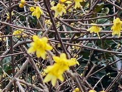 -证大大拇指广场(芳甸路店)