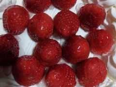 -红宝石·鲜奶小方·海派西点房(南丹店)