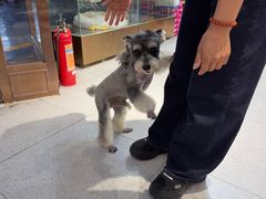 -FAELING PETS美天灵宠物(富力广场店)