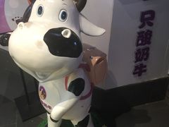 -一只酸奶牛(海南友谊阳光城店)