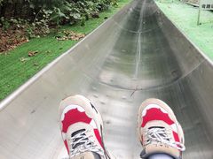 -富斯特索道